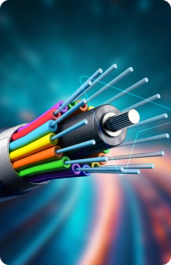 Cable & Connectors